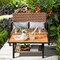 Outdoor 2-Piece Rattan Coffee Table Set with Storage Shelf and Cushions